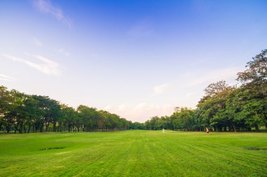 Güzel park ağaçları yeşil çim üzerinde mavi gökyüzü, yeşil yaz par