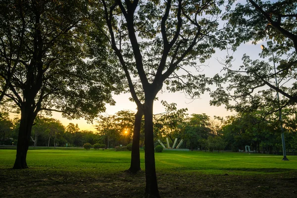 Pięknego parku drzewa zielone trawy nad niebieski niebo, zielone lato par — Zdjęcie stockowe