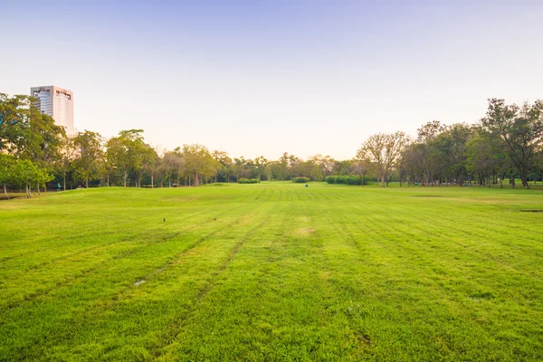 Güzel park ağaçları yeşil çim üzerinde mavi gökyüzü, yeşil yaz par