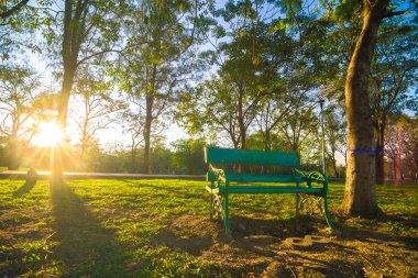 güzel bir parkta yeşil tezgah