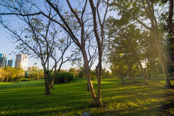 Hermoso jardín verde parque de verano con cielo azul . — Foto de Stock