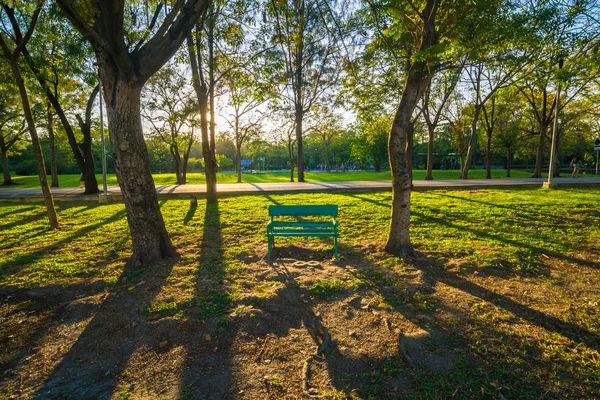 Grön bänk i en vacker park — Stockfoto