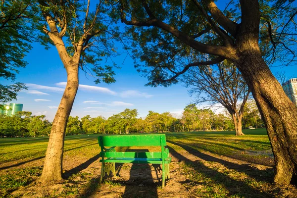 Grön bänk i en vacker park — Stockfoto