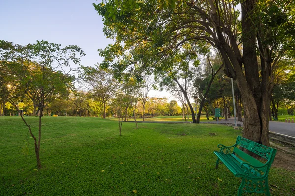 Zöld padon egy gyönyörű parkban — Stock Fotó