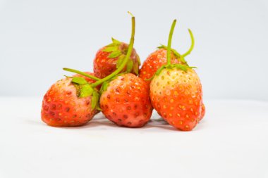 Grup çilek beyaz arka plan üzerinde kapat