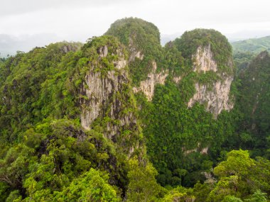 Sabah yeşil dağ manzarası
