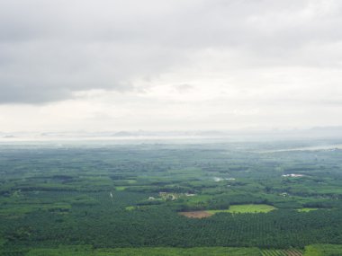 Yeşil dağ manzarası