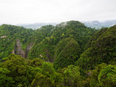 Yeşil dağ manzarası