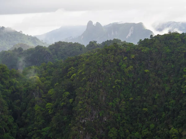 Yeşil Dağ Orman Krabi Tayland — Stok fotoğraf