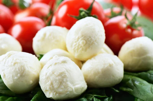 Mozzarella cheese balls, ripe cherry tomatoes and greens close-u — Stock Photo, Image