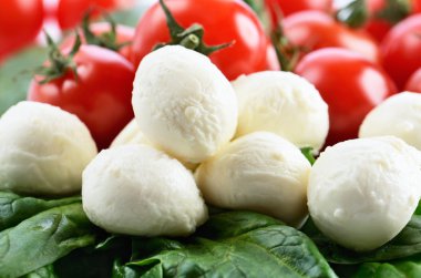 Mozzarella peyniri topları, Olgun Kiraz domates ve üzerinde Yeşiller 