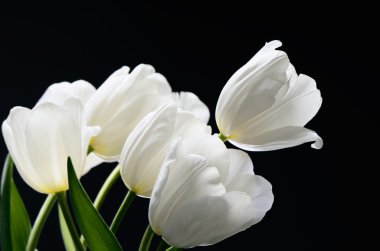 narin buket güzel bir karanlık adam üzerinde beyaz laleler