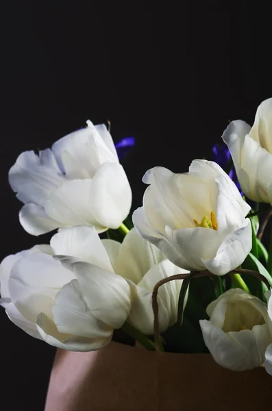 Ramo de tulipanes blancos e iris azules en la bolsa de papel en un — Foto de Stock