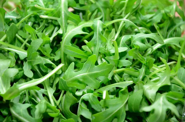 Groenen rucola leaf op de volledige achtergrond — Stockfoto