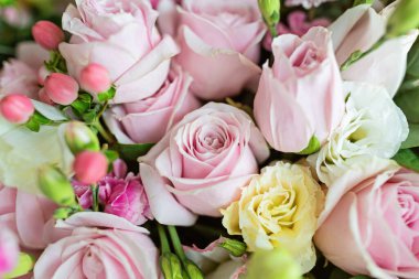 Bir buket taze çiçek yakın, tatil geçmişi....