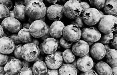 Taze böğürtlen. 2021 yılının renkleri: nihai gri ve aydınlatıcı. Renk konsepti, kopyalama alanı ile modelleme