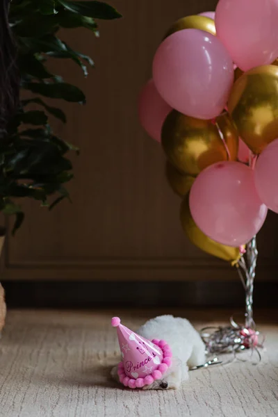 Niedlicher weißer Bichon Frise Hund feiert Geburtstag zu Hause. Haustierparty mit Heißluftballons in rosa und gold — Stockfoto