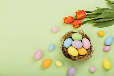 Renkli paskalya yumurtaları ve yeşil arka planda izole edilmiş pastel renkleri olan şık bir arka plan. Düz konum, üst görünüm, model, genel görünüm, şablon