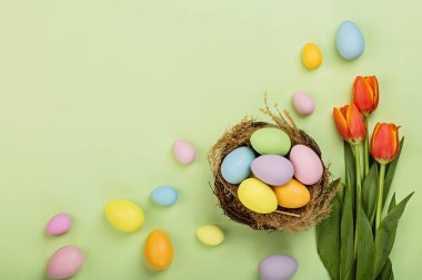 Renkli paskalya yumurtaları ve yeşil arka planda izole edilmiş pastel renkleri olan şık bir arka plan. Düz konum, üst görünüm, model, genel görünüm, şablon