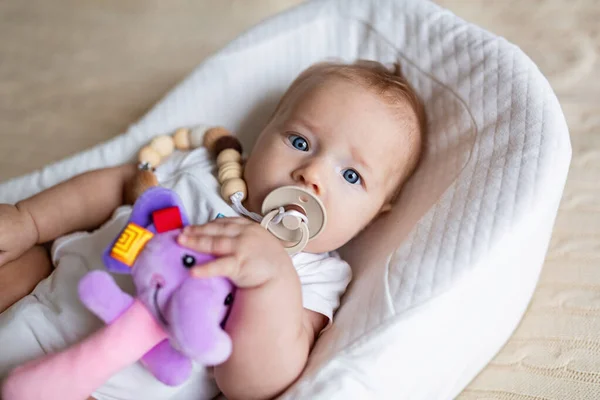 Bebê loiro bonito três meses de idade deitado em casulo em casa. Kid segura brinquedo de som recheado, chupa mamilo. — Fotografia de Stock