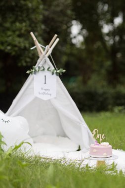 Bir yaşındaki bir kızın doğum gününü kutlamak için güzel bir fotoğraf çekimi ayarlandı. Yazın açık havada, beyaz peruk, battaniye ve balonla. Tereyağlı kremalı ve mumlu lezzetli bisküvi.