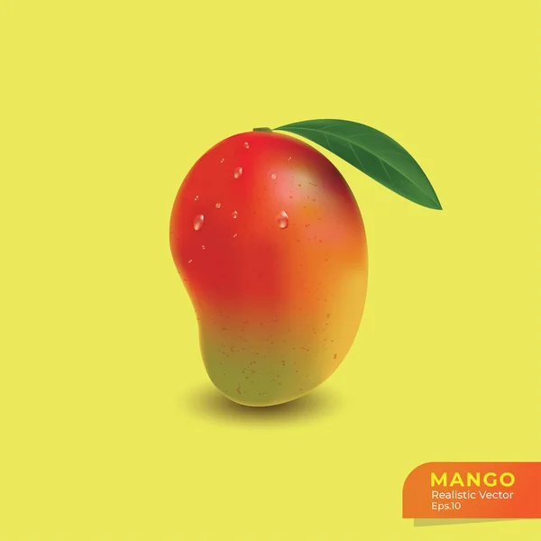 Mango Realistische Vector Illustratie Verse Mandarijn Mango Template Tropische Vruchten — Stockvector