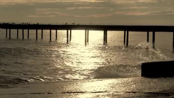 Das Wasser plätschert — Stockvideo