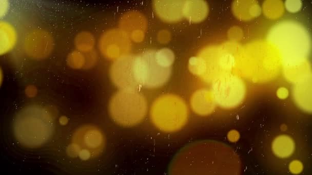 Pioggia Bokeh — Video Stock