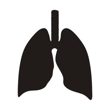 Ciğerleri siluet. İnsan İç Organı. Anatomi, Tıp Konsepti. Sağlık hizmetleri. Beyaz Arka plan 'da izole edilmiş. Vektör İllüstrasyonu