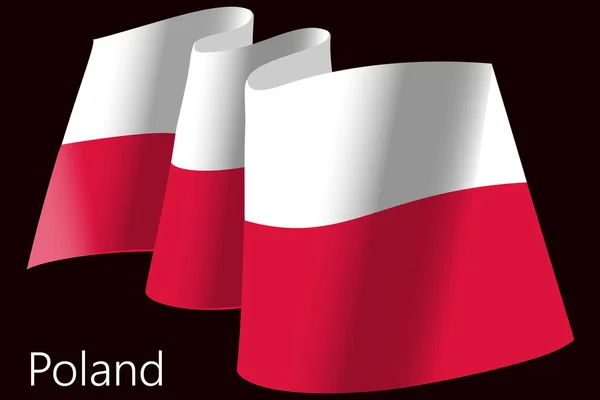 폴란드의 국기 — 스톡 벡터
