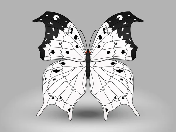 Vector mariposa — Archivo Imágenes Vectoriales