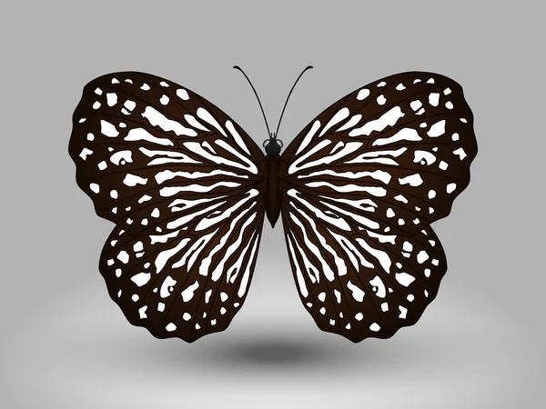 Векторная бабочка — стоковый вектор