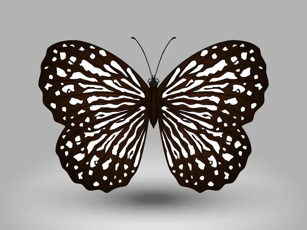 Vector mariposa — Archivo Imágenes Vectoriales