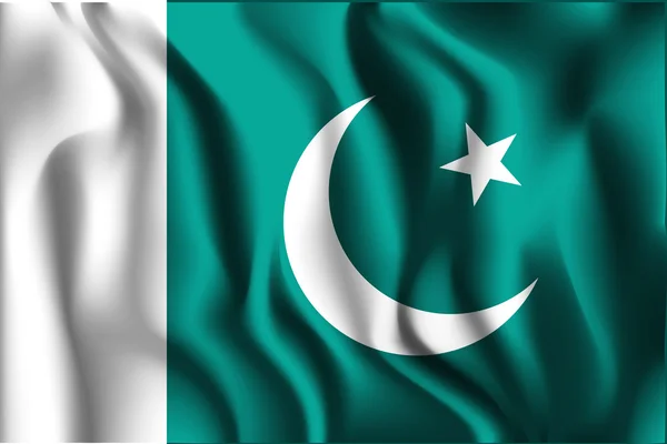 Flagge Pakistans. Ikone rechteckiger Form — Stockvektor