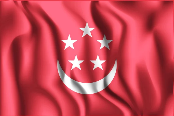 Bendera Variasi Singapura. Ikon Bentuk Segiempat - Stok Vektor
