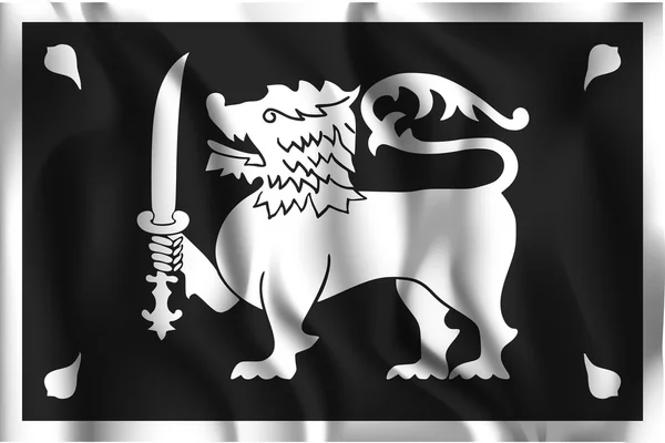 Sri lanka variante flag. Ikone rechteckiger Form — Stockvektor