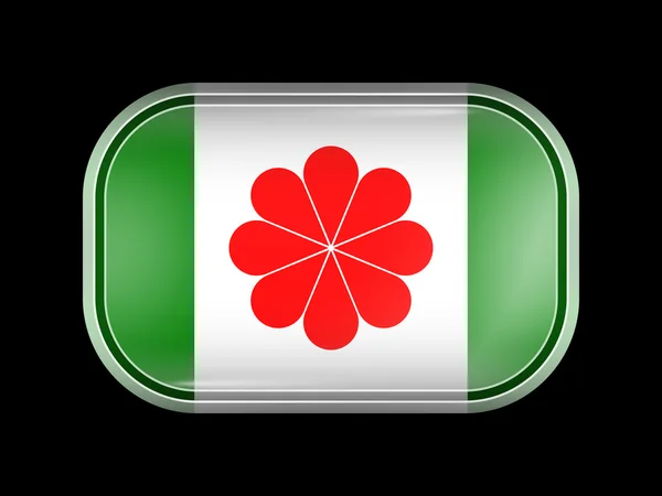 Taiwan Variant Flag. Forma retangular com cantos arredondados — Vetor de Stock