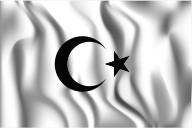 Türkiye'nin varyant bayrak. Dikdörtgen şeklinde simgesi