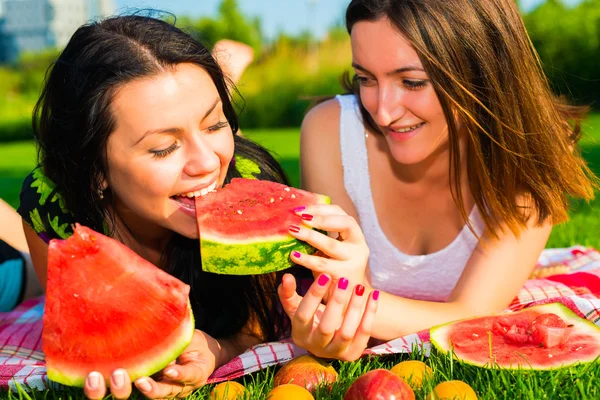 Happy vrienden op picknick op het gazon — Stockfoto