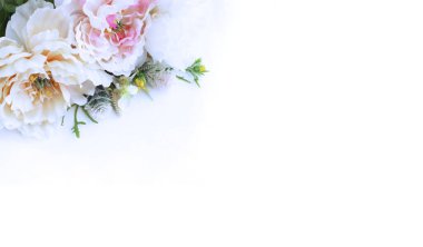 Beyaz arka planda beyaz ve pembe şakayıklar. Hassas bir festival kompozisyonu. Tebrik kartları, davetiyeler için arkaplan.