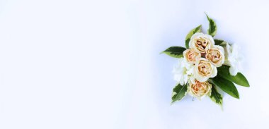 Beyaz arka planda krema gülleri. Hassas bir festival kompozisyonu. Üst Manzara. Tebrik kartları, davetiyeler için arkaplan.