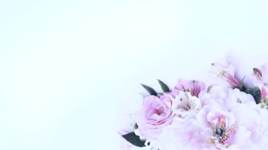 Beyaz arka planda beyaz ve pembe şakayıklar. Hassas bir festival kompozisyonu. Tebrik kartları, davetiyeler için arkaplan.