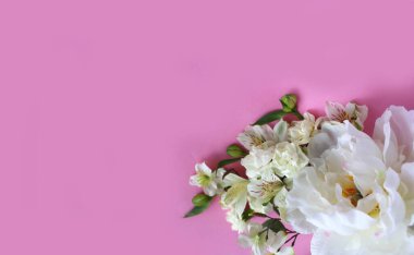 Pembe arka planda beyaz çiçekler. Hassas çiçek aranjmanı. Tebrik kartı için arkaplan.