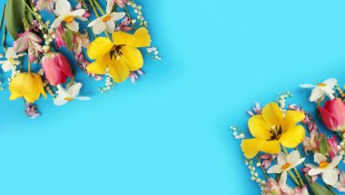 Sarı ve kırmızı laleler ve açık mavi arka planda beyaz nergisler. Şenlikli bahar buketi. Tebrik kartı için arkaplan.