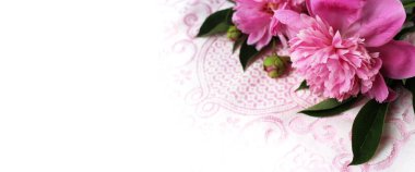 Beyaz arka planda pembe şakayık. Pastel çiçek aranjmanı. Tebrik kartı için arkaplan.