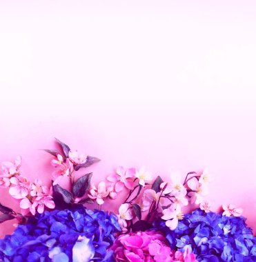 Açık arkaplanda mavi ve pembe ortanca çiçekleri. Bir tatil kartı için arka plan, davet.