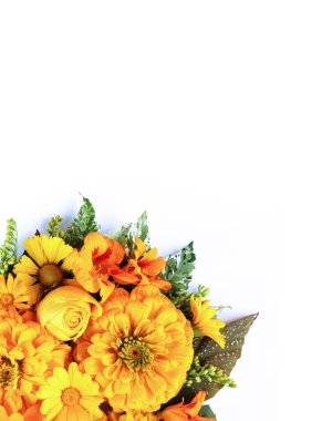 Beyaz arka planda sarı ve turuncu çiçekler. Kasımpatıların çiçek aranjmanı. Selamlama, davet ve kartlar için arkaplan.