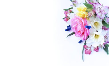 Pembe gül ve beyaz nergisli bir bahar çiçeği. Yumuşak pastel gölgeler. Tebrik kartı için arkaplan.