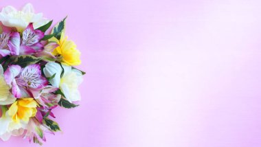 Pink alstroemeria and yellow daffodils on a light pink background. Festive flower arrangement. Background for the postcard.