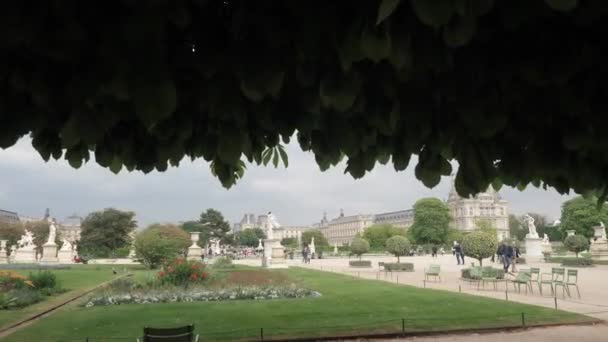 Tuileries bahçesinde çiçekli çimler ve heykeller. — Stok video